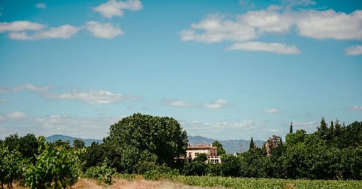 Domaine de la Dourbie